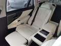 Lexus LS 500 500h 89 Luxury Art Wood L- White Bleu - thumbnail 24