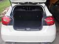 Mercedes-Benz A 160 A 160 Austria Edition Austria Edition Weiß - thumbnail 14