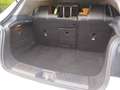 Mercedes-Benz A 160 A 160 Austria Edition Austria Edition Weiß - thumbnail 15