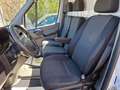 Mercedes-Benz Sprinter II Pritsche 316 CDI Koffer*AHK* Weiß - thumbnail 11