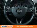 Skoda Scala 1.0 TSI Style Blau - thumbnail 19