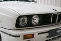 BMW M3 E30 * Great condition * AlpinWeiss II * Sunroof * Weiß - thumbnail 23