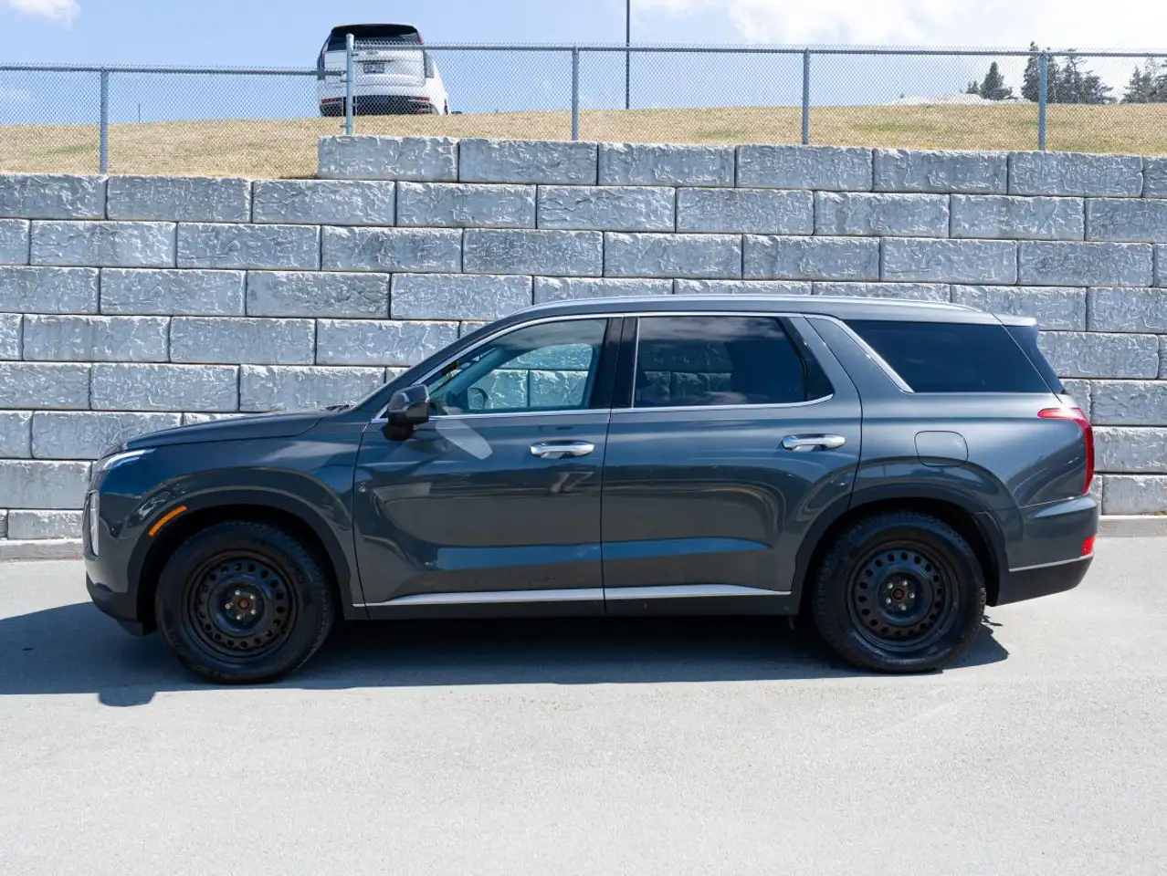 Hyundai PALISADE снимка Hyundai PALISADE