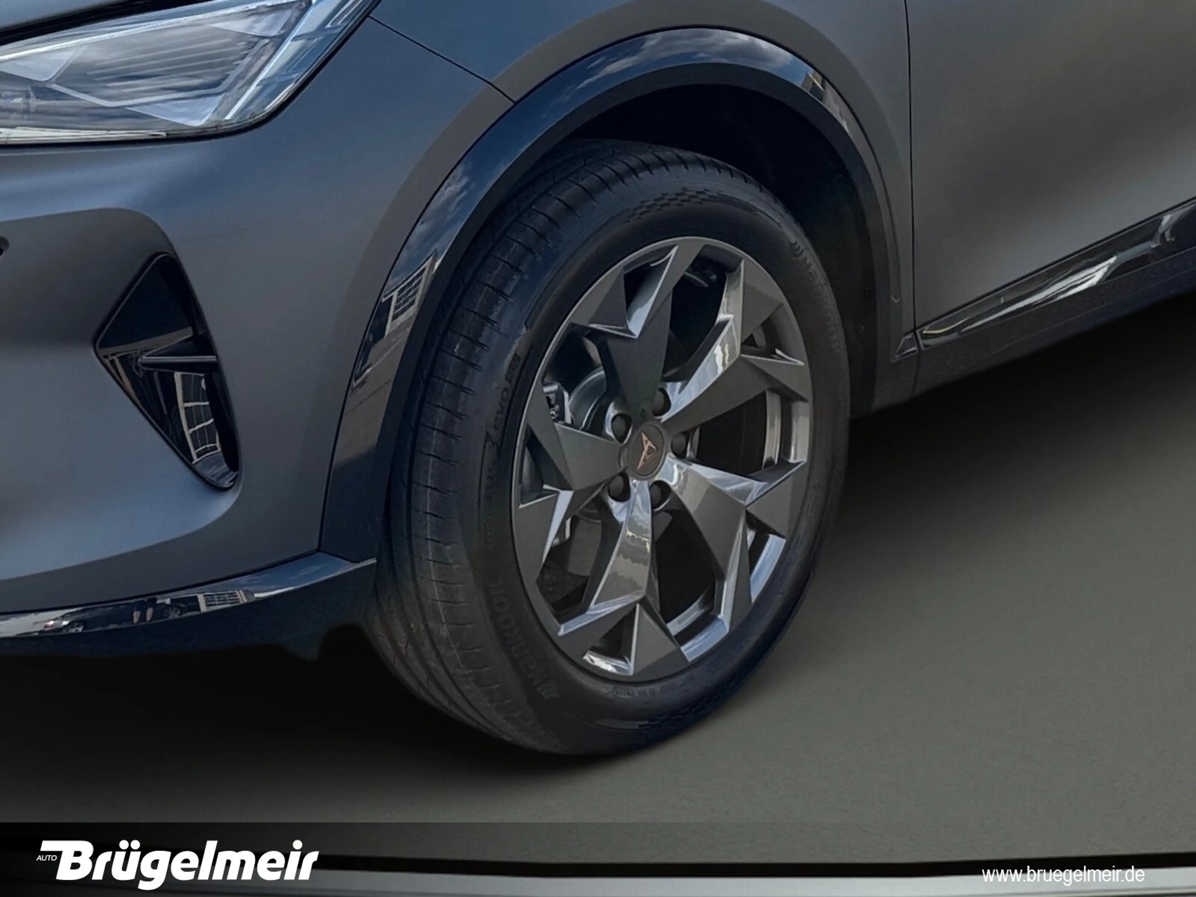 CUPRA Formentor 2.0 TSI DSG 4Drive+AHK+ACC+NAVI+KAM+18  L-R Sensor/Dachrel./eFH./NSW/Lendenwirbelstütze Sitz vorn — photo 10