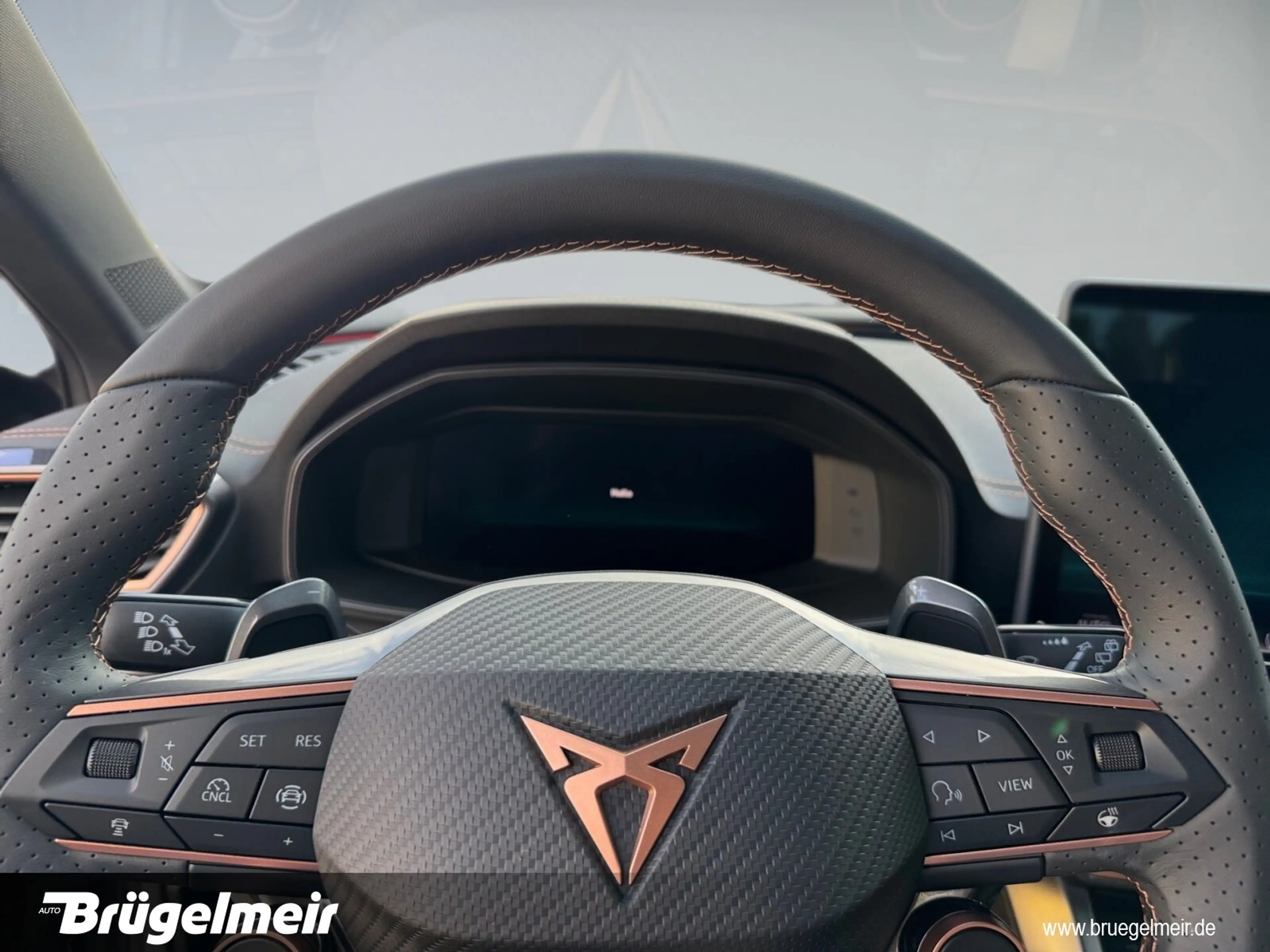 CUPRA Formentor 2.0 TSI DSG 4Drive+AHK+ACC+NAVI+KAM+18  L-R Sensor/Dachrel./eFH./NSW/Lendenwirbelstütze Sitz vorn — photo 19