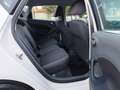 SEAT Ibiza Chili 1,2**Neues Pickerl**Finanzierung möglich** Weiß - thumbnail 13