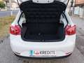 SEAT Ibiza Chili 1,2**Neues Pickerl**Finanzierung möglich** Weiß - thumbnail 15