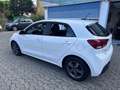 Kia Rio 1.2 MPI Evolution 84CV*EURO6*NEOPATENTATI - thumbnail 6