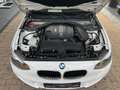BMW 114 1.6  Diesel * Kundenauftrag * Weiß - thumbnail 10