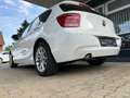 BMW 114 1.6  Diesel * Kundenauftrag * Weiß - thumbnail 7