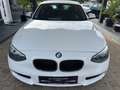 BMW 114 1.6  Diesel * Kundenauftrag * Weiß - thumbnail 2