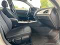 BMW 114 1.6  Diesel * Kundenauftrag * Weiß - thumbnail 14