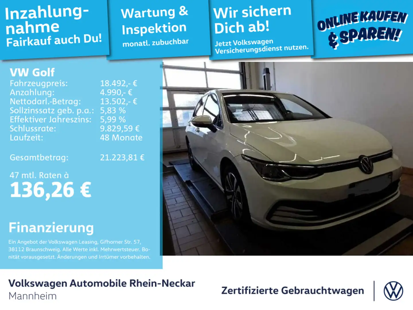 Volkswagen Golf VIII 1.5 TSI United LED Navi uvm Weiß - 1