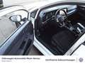 Volkswagen Golf VIII 1.5 TSI United LED Navi uvm Weiß - thumbnail 8