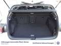 Volkswagen Golf VIII 1.5 TSI United LED Navi uvm Weiß - thumbnail 13
