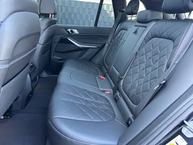 BMW X5 X5 view 12