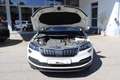 Skoda Karoq 1.6 TDI Style/ Business/ Navi-Amundsen Weiß - thumbnail 3