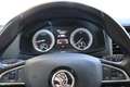 Skoda Karoq 1.6 TDI Style/ Business/ Navi-Amundsen Weiß - thumbnail 9