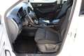 Skoda Karoq 1.6 TDI Style/ Business/ Navi-Amundsen Weiß - thumbnail 10