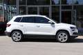 Skoda Karoq 1.6 TDI Style/ Business/ Navi-Amundsen Weiß - thumbnail 14