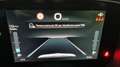 Fiat Panda 1.0 FireFly S&S Hybrid 5Posti Bianco - thumbnail 7