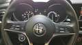 Alfa Romeo Stelvio 2,0 ATX AWD Rot - thumbnail 12