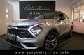 Kia Sportage GT-Line Hybrid 4WD*Pano*LED*Leder*360°* Plateado - thumbnail 1