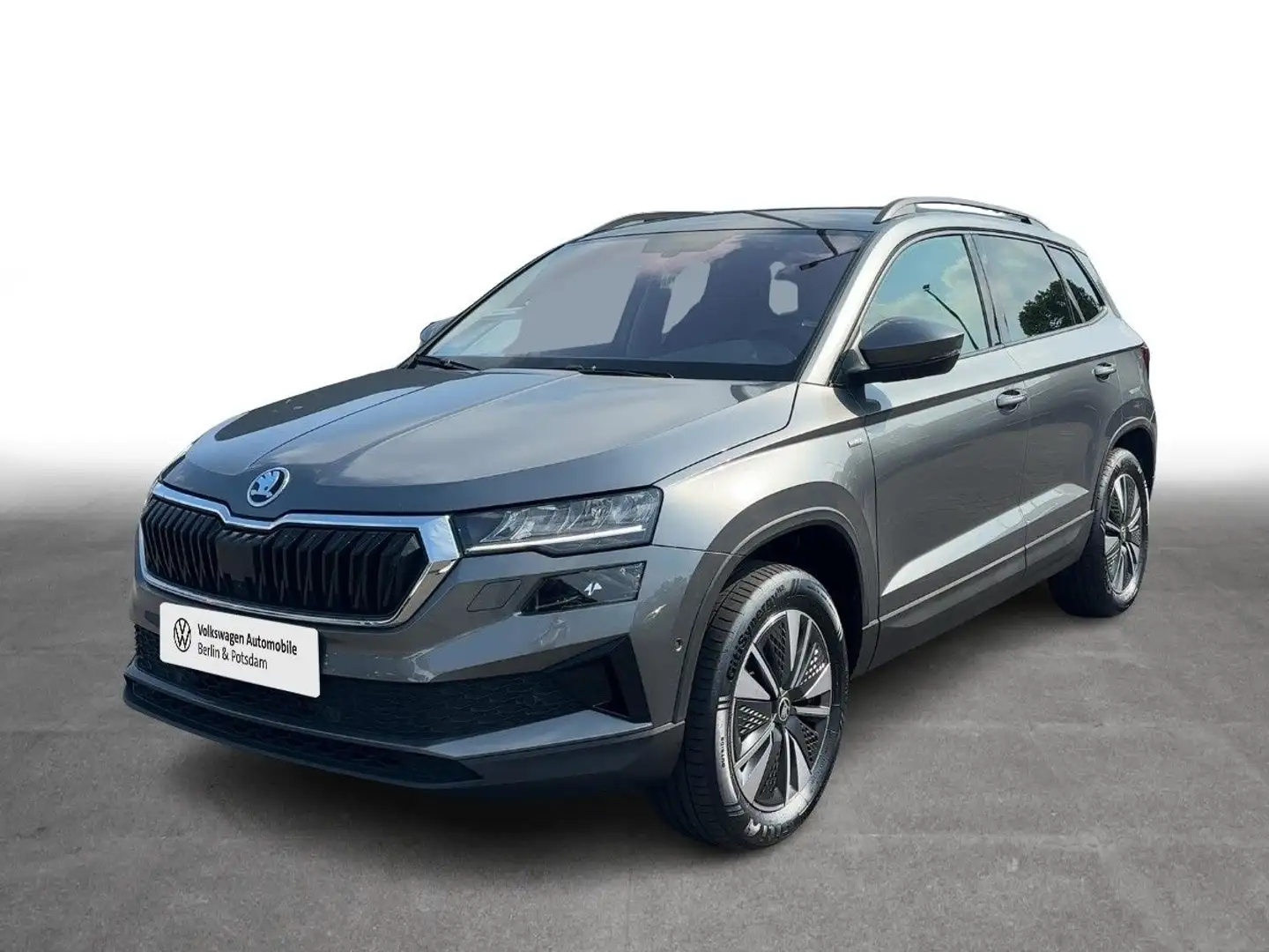 Skoda Karoq 2.0TDI DSG Tour 4x4 NAVI I-Cockpit KAMERA Grau - 1