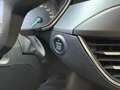 Ford Focus BWJ 2020 1.0 126 PK EcoBoost Active Business APPLE Gris - thumbnail 14