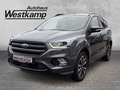 Ford Kuga ST-Line 1.6 EcoBoost 4x4 Anh.Kpl. Kamera Gris - thumbnail 1