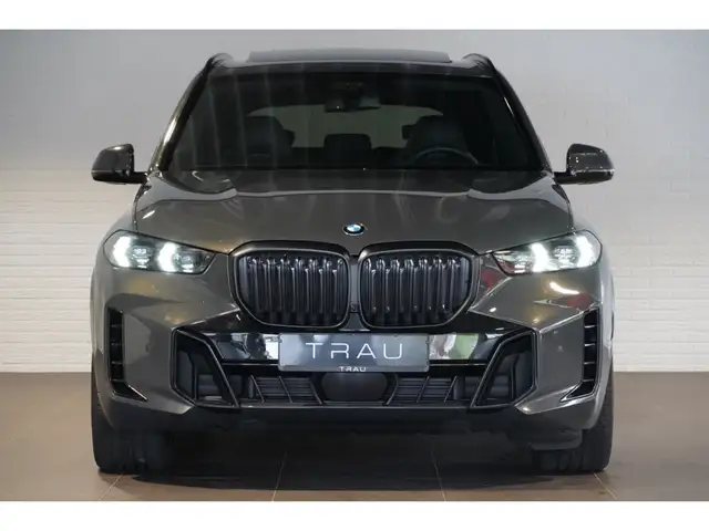 BMW X5 X5 view 2