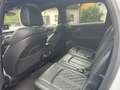 Audi SQ7 4.0 TDI*Pano*Matrix*Luftf*22Zoll*Scheckheft - thumbnail 12