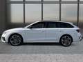Skoda Octavia RS+ACC+AHK+Leder+Head-Up Blanco - thumbnail 3