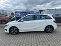 Mercedes-Benz B 180 B -Klasse B 180 CDI |LEDER|NAVI|XENON| Weiß - thumbnail 4
