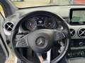 Mercedes-Benz B 180 B -Klasse B 180 CDI |LEDER|NAVI|XENON| Weiß - thumbnail 14