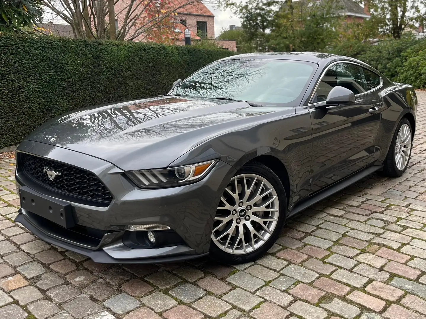 Ford Mustang 2.3 EcoBoost Automaat  ### 57000 km ### Grigio - 1