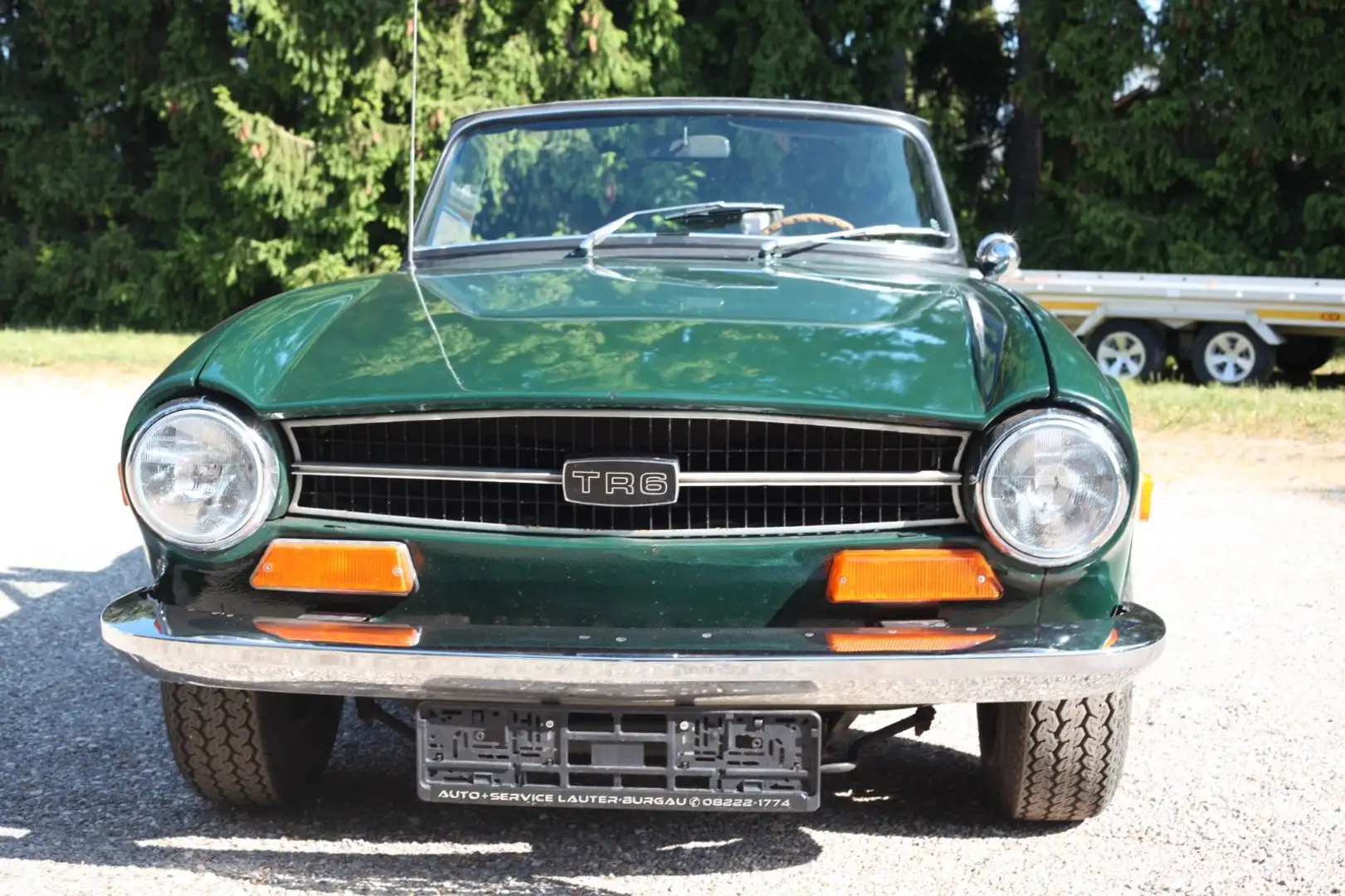 Triumph TR6 H- Kennz. Grün - 2