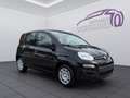 Fiat Sonstige Pandina FireFly Hybrid 65 Icon Schwarz - thumbnail 7