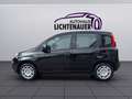 Fiat Sonstige Pandina FireFly Hybrid 65 Icon Schwarz - thumbnail 2