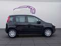 Fiat Sonstige Pandina FireFly Hybrid 65 Icon Schwarz - thumbnail 6