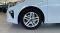 Kia 1.6 CRDI 85KW DRIVE 115 5P Blanc - thumbnail 10