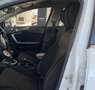 Kia 1.6 CRDI 85KW DRIVE 115 5P Blanc - thumbnail 11