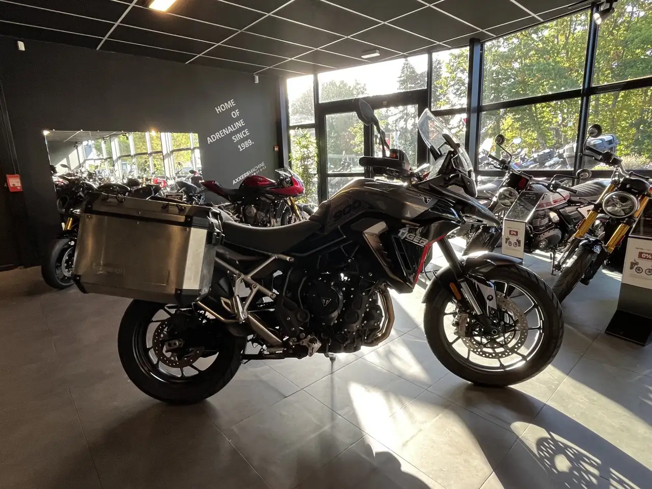 Triumph Tiger 900