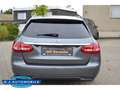 Mercedes-Benz C 200 T-Modell ,Avantgarde ,Navi,Pano Gris - thumbnail 7