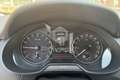 Skoda Octavia Octavia 2.0 TDI CR DSG Wagon Executive Plus Bianco - thumbnail 13