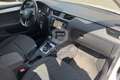 Skoda Octavia Octavia 2.0 TDI CR DSG Wagon Executive Plus Bianco - thumbnail 11