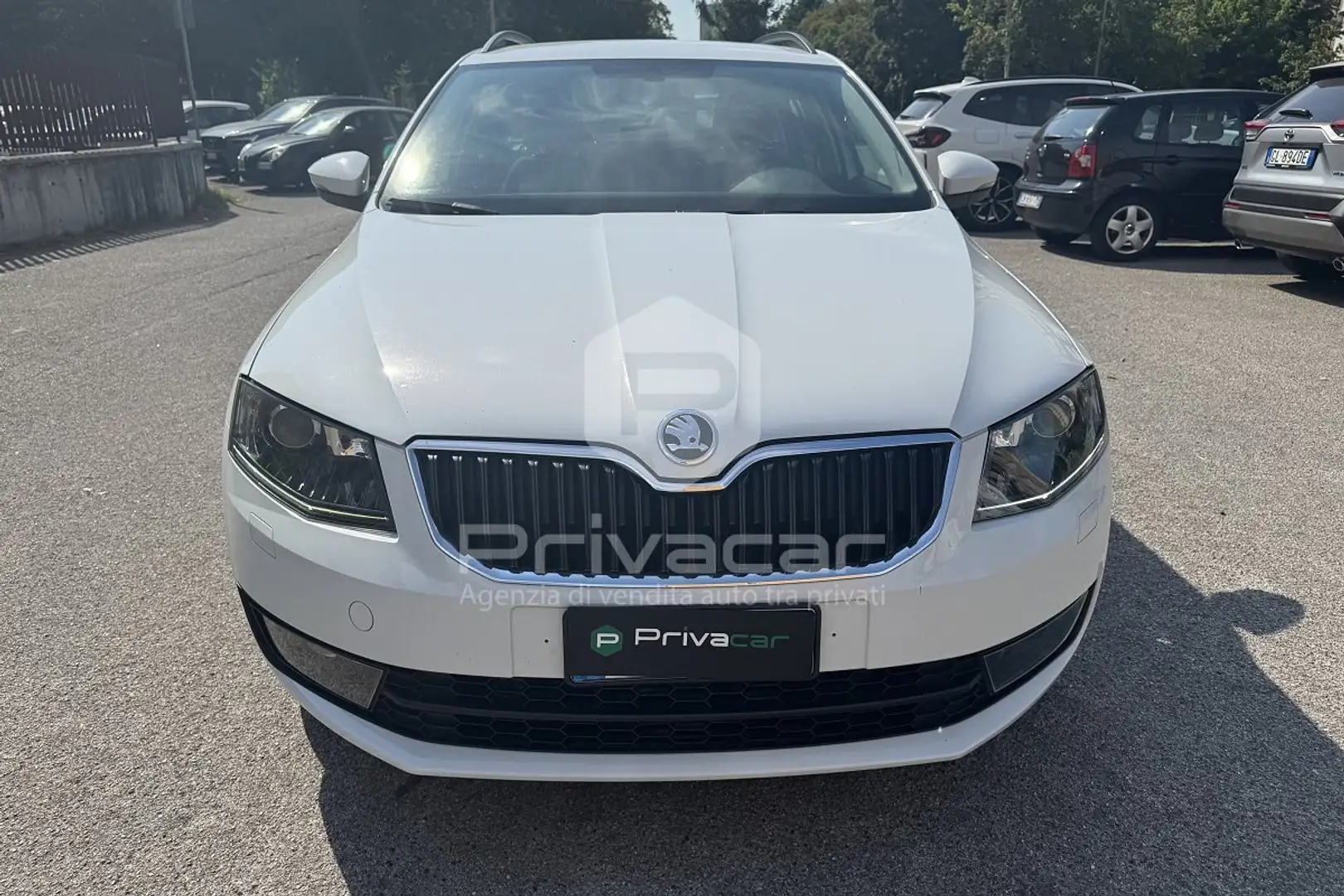 Skoda Octavia Octavia 2.0 TDI CR DSG Wagon Executive Plus Bianco - 2