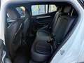 BMW X2 X2 F39 xdrive20d Msport X auto Bianco - thumbnail 14