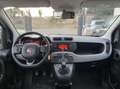 Fiat Panda 1.2 EasyPower Lounge Bianco - thumbnail 7