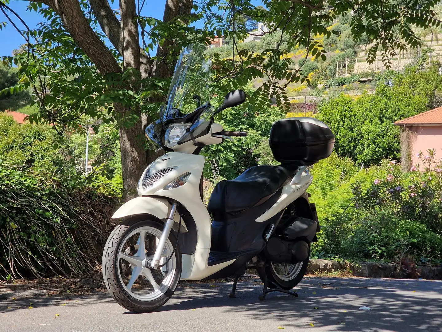 Suzuki Sixteen 150 White - 1
